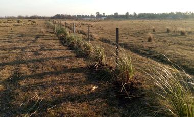 VENTA TERRENO 7 HECTAREAS EN LA CAPILLA F.VARELA