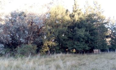 VENTA TERRENO 7 HECTAREAS EN LA CAPILLA F.VARELA