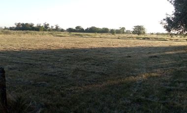 VENTA TERRENO 7 HECTAREAS EN LA CAPILLA F.VARELA