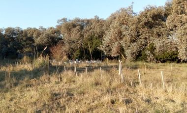 VENTA TERRENO 7 HECTAREAS EN LA CAPILLA F.VARELA