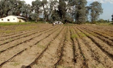 VENTA TERRENO 7 HECTAREAS EN LA CAPILLA F.VARELA