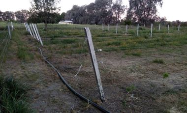 VENTA TERRENO 7 HECTAREAS EN LA CAPILLA F.VARELA