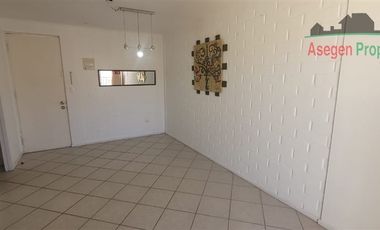 Departamento en Arriendo en Departamento en Arriendo Condominio Luis Bogdanic I