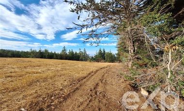 Sitio en Venta en Terreno 3 hectarias Punta Lobos