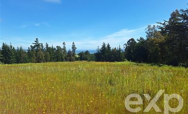 Sitio en Venta en Terreno 3 hectarias Punta Lobos