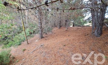 Sitio en Venta en Terreno 3 hectarias Punta Lobos