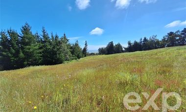 Sitio en Venta en Terreno 3 hectarias Punta Lobos