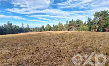 Sitio en Venta en Terreno 3 hectarias Punta Lobos