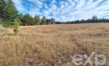 Sitio en Venta en Terreno 3 hectarias Punta Lobos