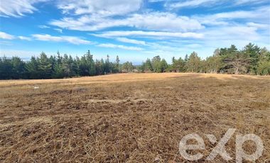 Sitio en Venta en Terreno 3 hectarias Punta Lobos