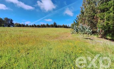 Sitio en Venta en Terreno 3 hectarias Punta Lobos