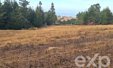 Sitio en Venta en Terreno 3 hectarias Punta Lobos