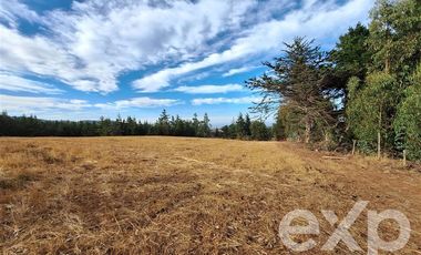Sitio en Venta en Terreno 3 hectarias Punta Lobos