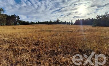 Sitio en Venta en Terreno 3 hectarias Punta Lobos