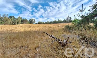 Sitio en Venta en Terreno 3 hectarias Punta Lobos