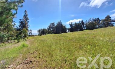 Sitio en Venta en Terreno 3 hectarias Punta Lobos