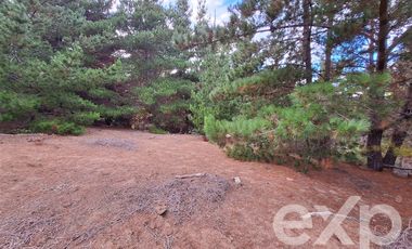 Sitio en Venta en Terreno 3 hectarias Punta Lobos