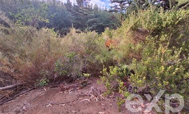 Sitio en Venta en Terreno 3 hectarias Punta Lobos
