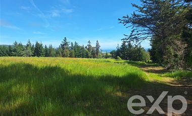 Sitio en Venta en Terreno 3 hectarias Punta Lobos