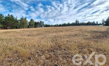 Sitio en Venta en Terreno 3 hectarias Punta Lobos