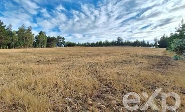 Sitio en Venta en Terreno 3 hectarias Punta Lobos