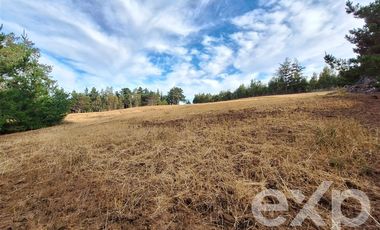 Sitio en Venta en Terreno 3 hectarias Punta Lobos