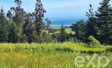 Agrícola en Venta en Terreno 3 hectarias Punta Lobos