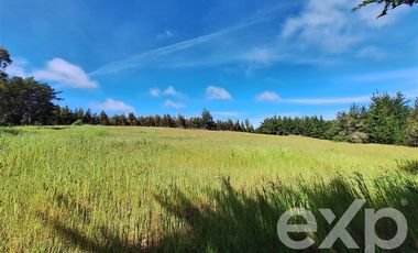 Agrícola en Venta en Terreno 3 hectarias Punta Lobos