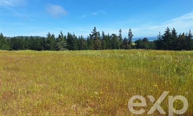 Agrícola en Venta en Terreno 3 hectarias Punta Lobos