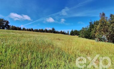 Agrícola en Venta en Terreno 3 hectarias Punta Lobos