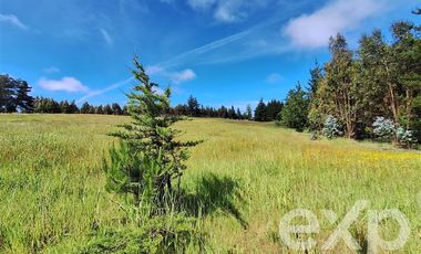 Agrícola en Venta en Terreno 3 hectarias Punta Lobos