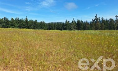 Agrícola en Venta en Terreno 3 hectarias Punta Lobos