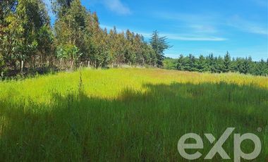 Parcela en Venta en Terreno 3 hectarias Punta Lobos