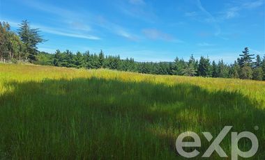 Parcela en Venta en Terreno 3 hectarias Punta Lobos