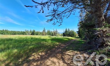 Parcela en Venta en Terreno 3 hectarias Punta Lobos
