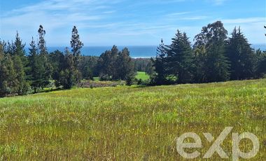 Parcela en Venta en Terreno 3 hectarias Punta Lobos