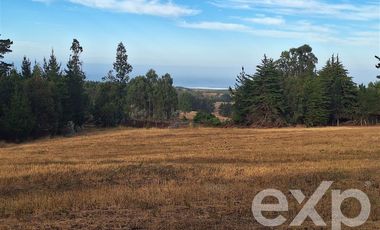 Parcela en Venta en Terreno 3 hectarias Punta Lobos