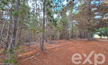 Terreno Construccion en Venta en Terreno 3 hectarias Punta Lobos
