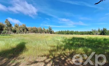 Terreno Construccion en Venta en Terreno 3 hectarias Punta Lobos