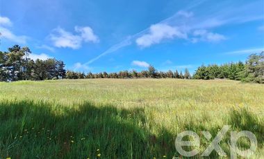 Terreno Construccion en Venta en Terreno 3 hectarias Punta Lobos