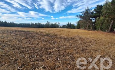 Terreno Construccion en Venta en Terreno 3 hectarias Punta Lobos