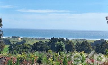 Terreno Construccion en Venta en Terreno 3 hectarias Punta Lobos