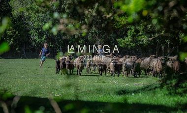 Parcela en Venta en Paraguay Chico