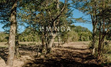 Parcela en Venta en Paraguay Chico