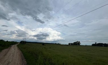 TERRENO DE 18.500 M2