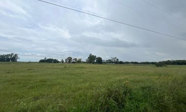 TERRENO DE 18.500 M2