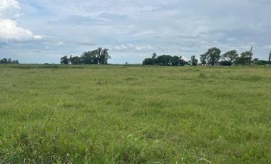 TERRENO DE 18.500 M2