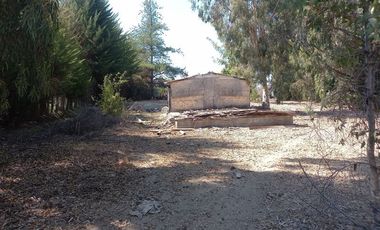 Sitio en Venta en EL PINO- RAPEL