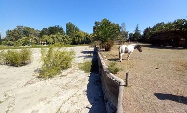 Sitio en Venta en EL PINO- RAPEL