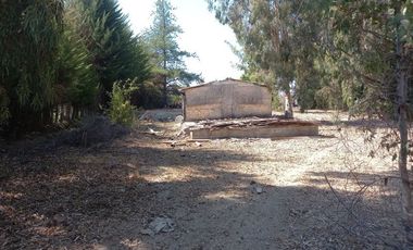 Sitio en Venta en EL PINO- RAPEL